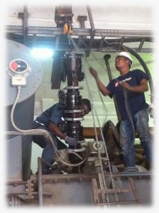 WhatsApp-Image-2021-12-28-at-10.52.44-AM-2-224x300